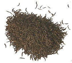 Laxmi All-Natural Kala Jeera (Caraway Seeds) - 3.5oz