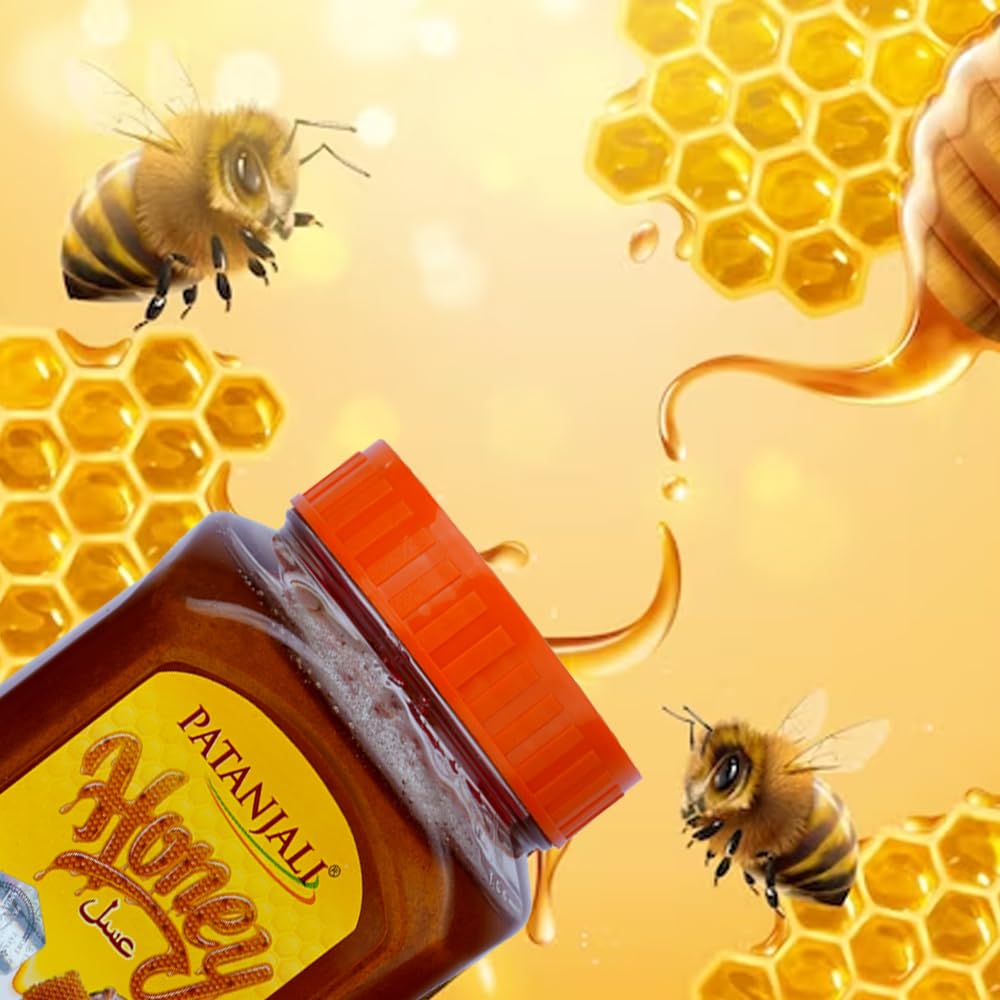 PATANJALI Honey 500G - Food / Masala / Dal