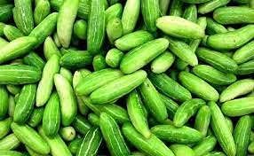 10pcs Ivy Gourd Vegetable Seeds kechondr