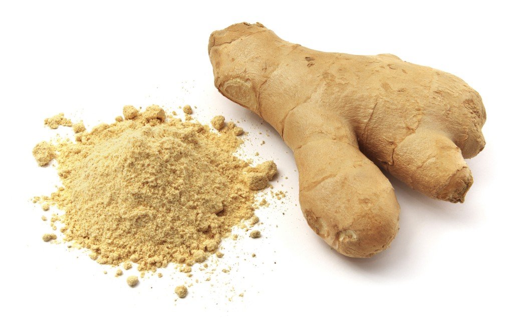 Laxmi Ginger Powder 7 Oz - Indian Spices