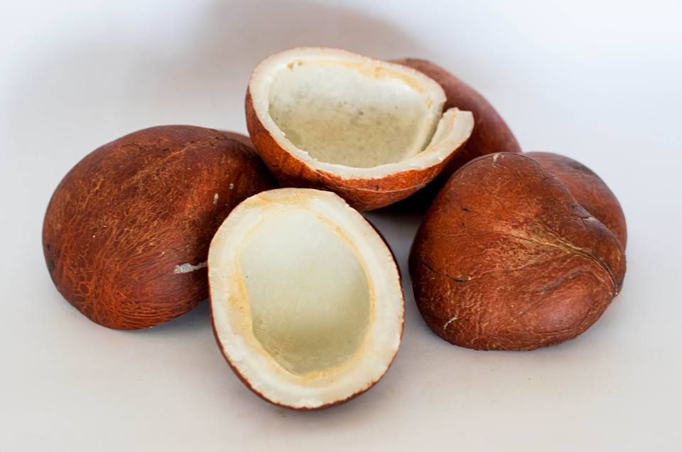 Half Dry Coconut Each