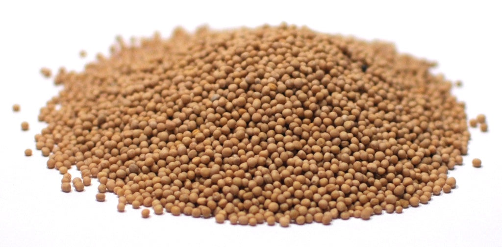 Eastern Feast Couscous 2 lbs
