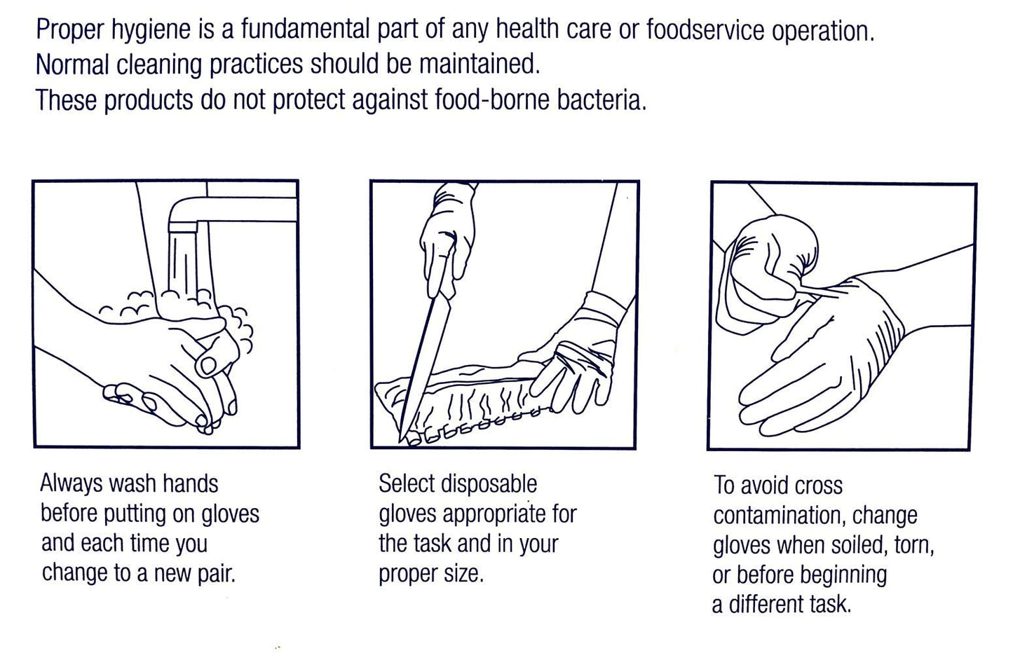 Powder-Free. Vinyl Gloves. 100 Gloves. (M)