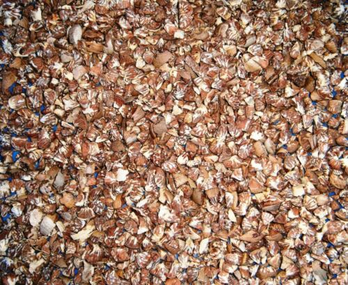 Pooja Nuts -Sweet Tukda 100 gms - Pooja Samagri