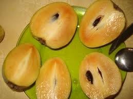 Fresh Sapodilla (Nispero) 3lb