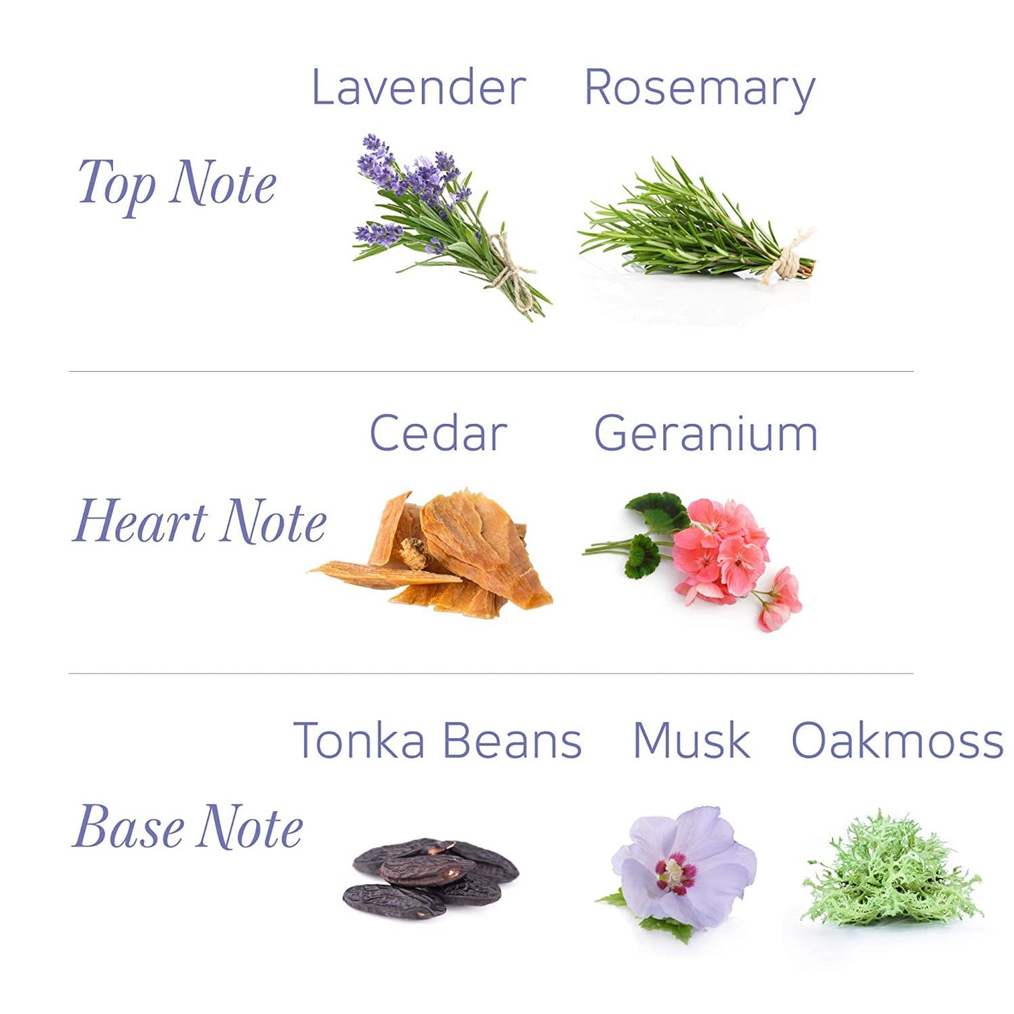 Yardley London Perfumed Fresh Floral Fragrances Locked in a fine & Silky Talcum Powder (Yardley English Lavender Perfumed Talc - 250gm, Pack of 3)...