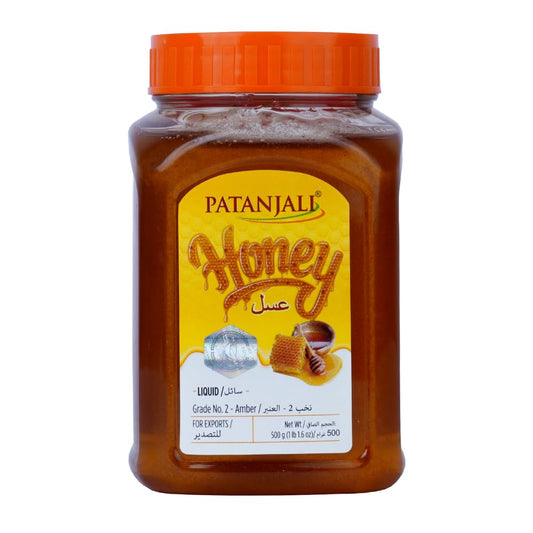 PATANJALI Honey 500G