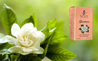Gardenia 12 ML Concentrated Fragrance (0.41 fl. oz)