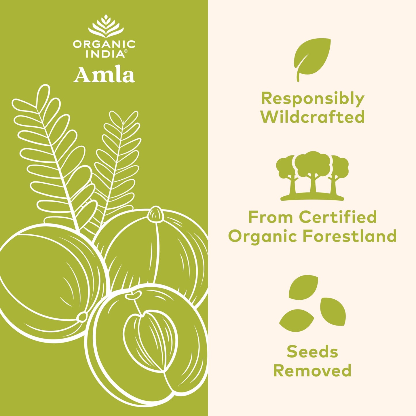 Organic India Amla 90 caps - Ayurveda & Vitamins