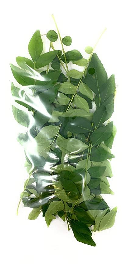 Fresh Curry Leaves 2-3oz ~ All Natural | Vegan | Gluten Friendly | NON-GMO | Product of USA