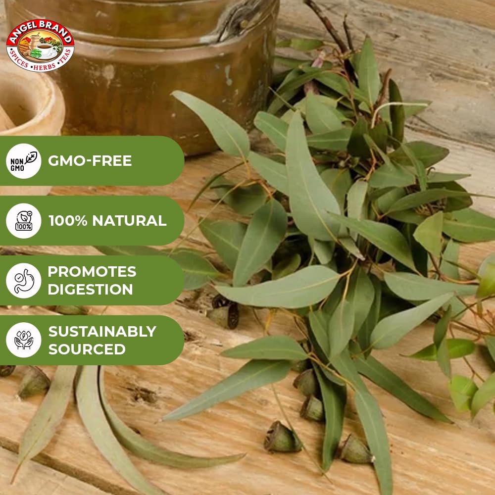 Eucalyptus (3 PACKS)