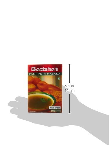 Badshah Pani Puri Masala 100 gms