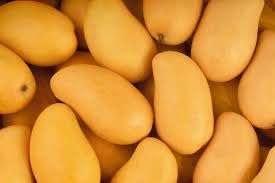 Fresh Kesar Mango 11 CT