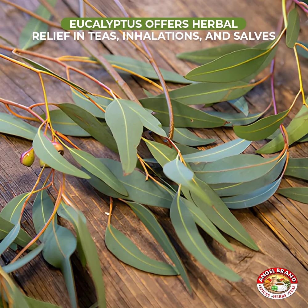 Eucalyptus (3 PACKS)