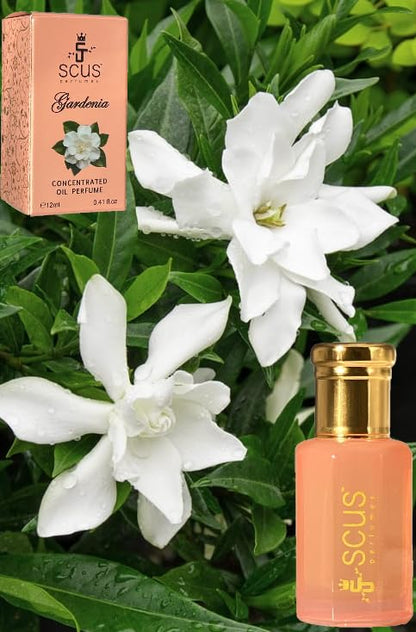 Gardenia 12 ML Concentrated Fragrance (0.41 fl. oz)