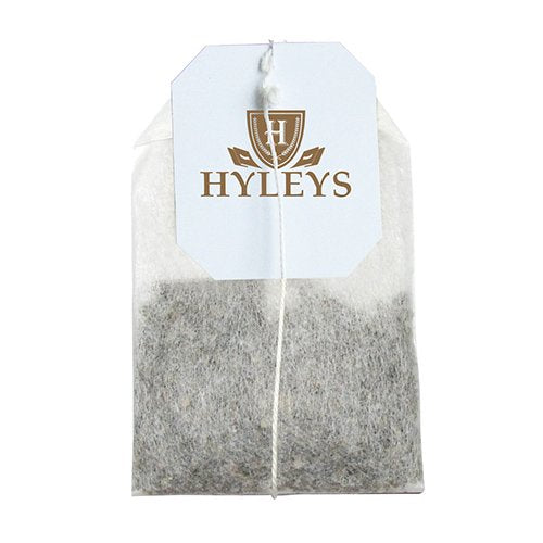 Hyleys Turmeric with Green Tea - 25 Tea Bags (12 Pack - 300 Tea Bags)