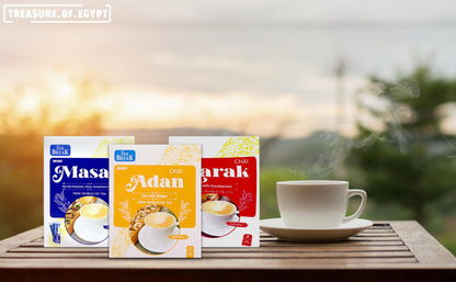 Tea Break Instant Tea with Milk & Ginger Chai Adan - 25 gm X8 Sticks