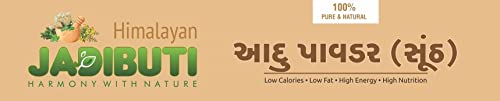 Himalayan Jadibuti Ginger Powder 100 gm