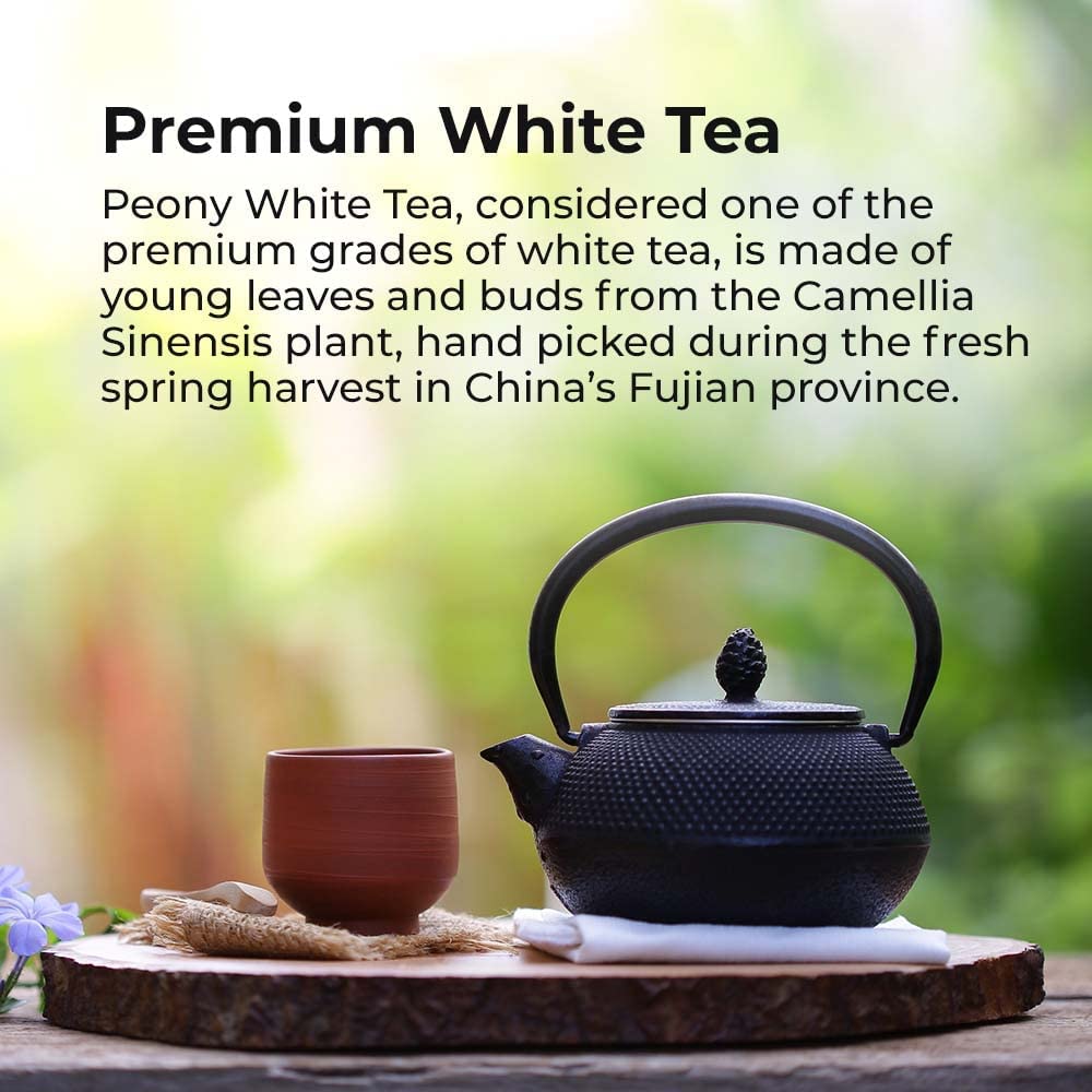 Prince of Peace Premium White Tea, 100 Tea Bags  White Tea Bags  Prince of Peace  White Peony Tea  Camellia Sinensis Tea Bags  Prince of Peace Tea  Premium Grade Tea