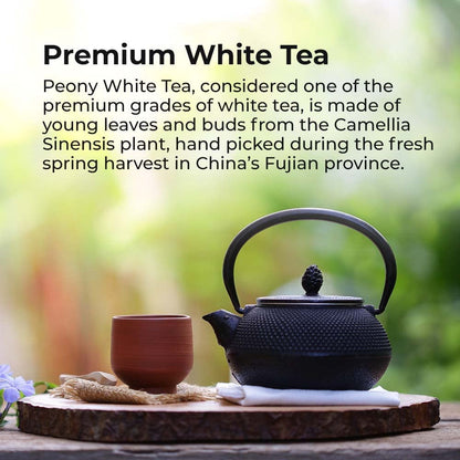 Prince of Peace Premium White Tea, 100 Tea Bags  White Tea Bags  Prince of Peace  White Peony Tea  Camellia Sinensis Tea Bags  Prince of Peace Tea  Premium Grade Tea