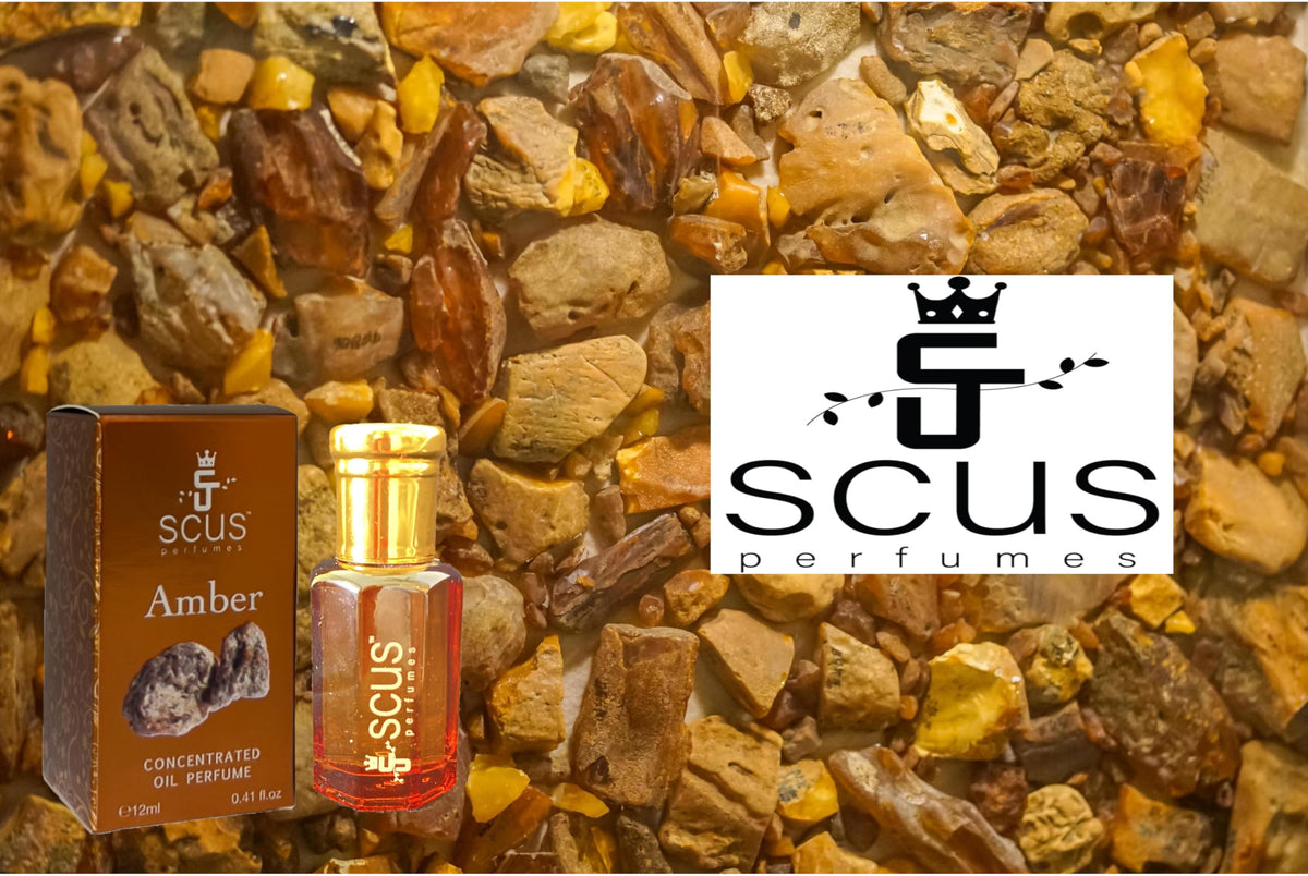 Amber Fragrance 12 ML (0.41 fl oz)