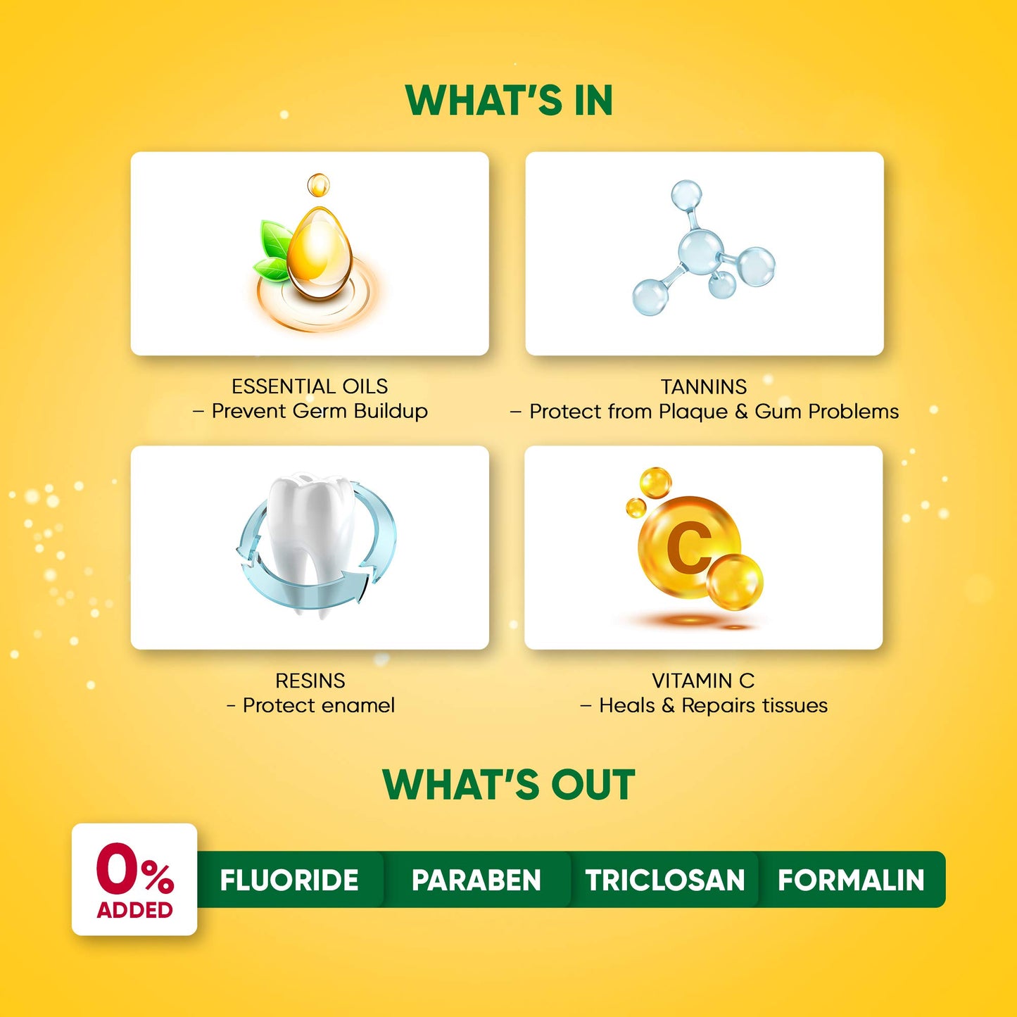 Dabur Meswak Toothpaste - 300 g (Family Pack)