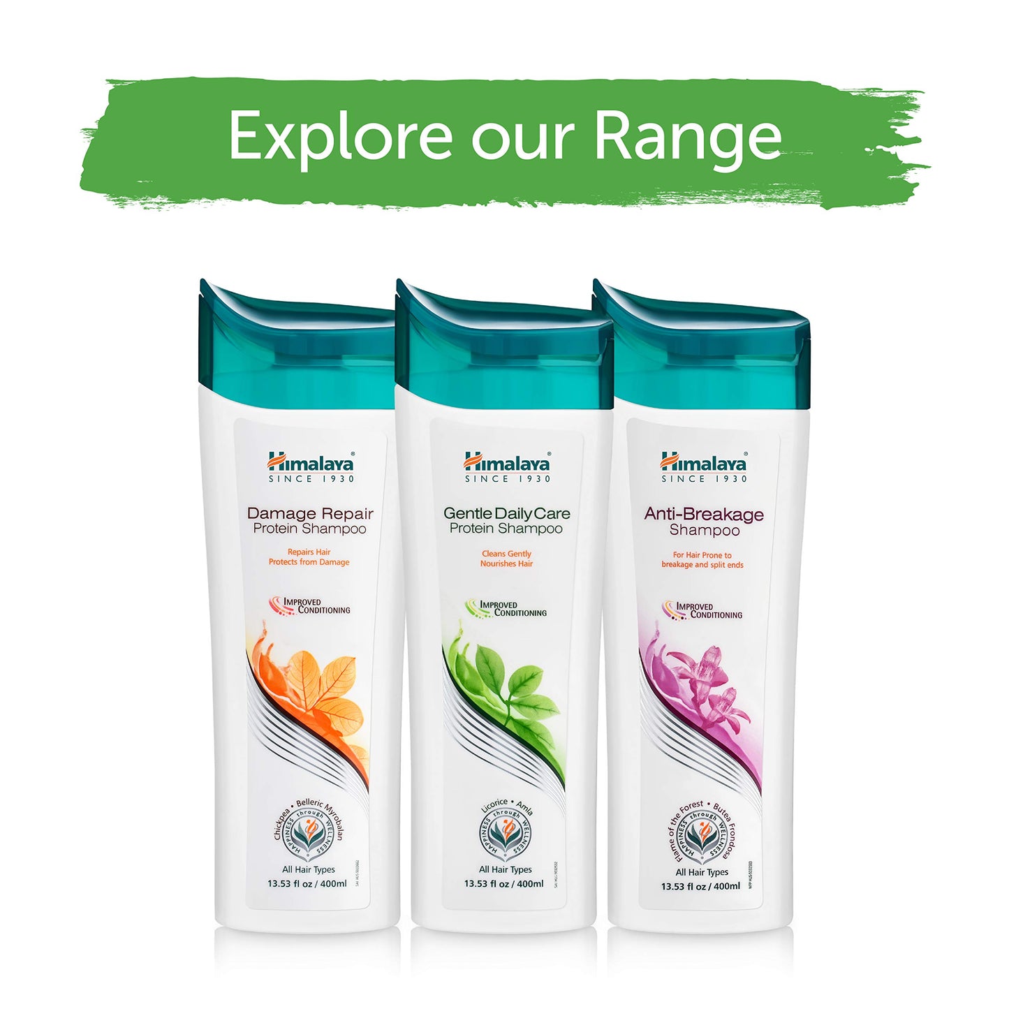 Himalaya Gentle Daily Care Protein Shampoo, 13.53 Ounce