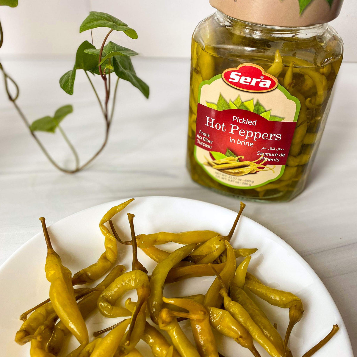 Sera Pickled Hot Peppers in Brine Add Heat and Flavor to Salads, Greens, Sandwiches and More! 1.41 Lb