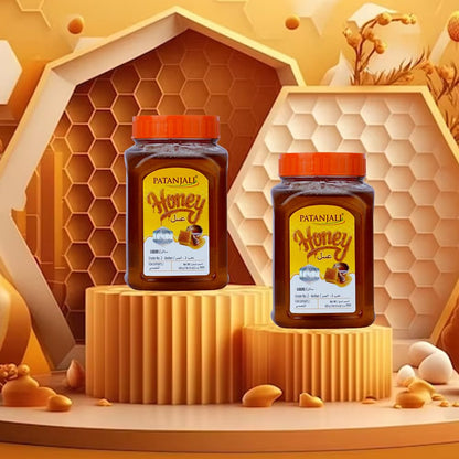 PATANJALI Honey 500G - Food / Masala / Dal