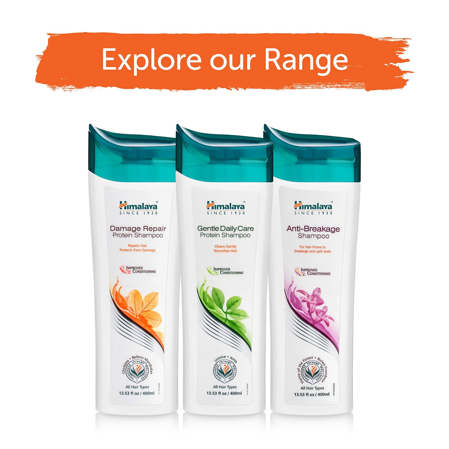 Himalaya Damage Repair Protein Shampoo With Chickpea And Almond For Dry Frizzy 400ml