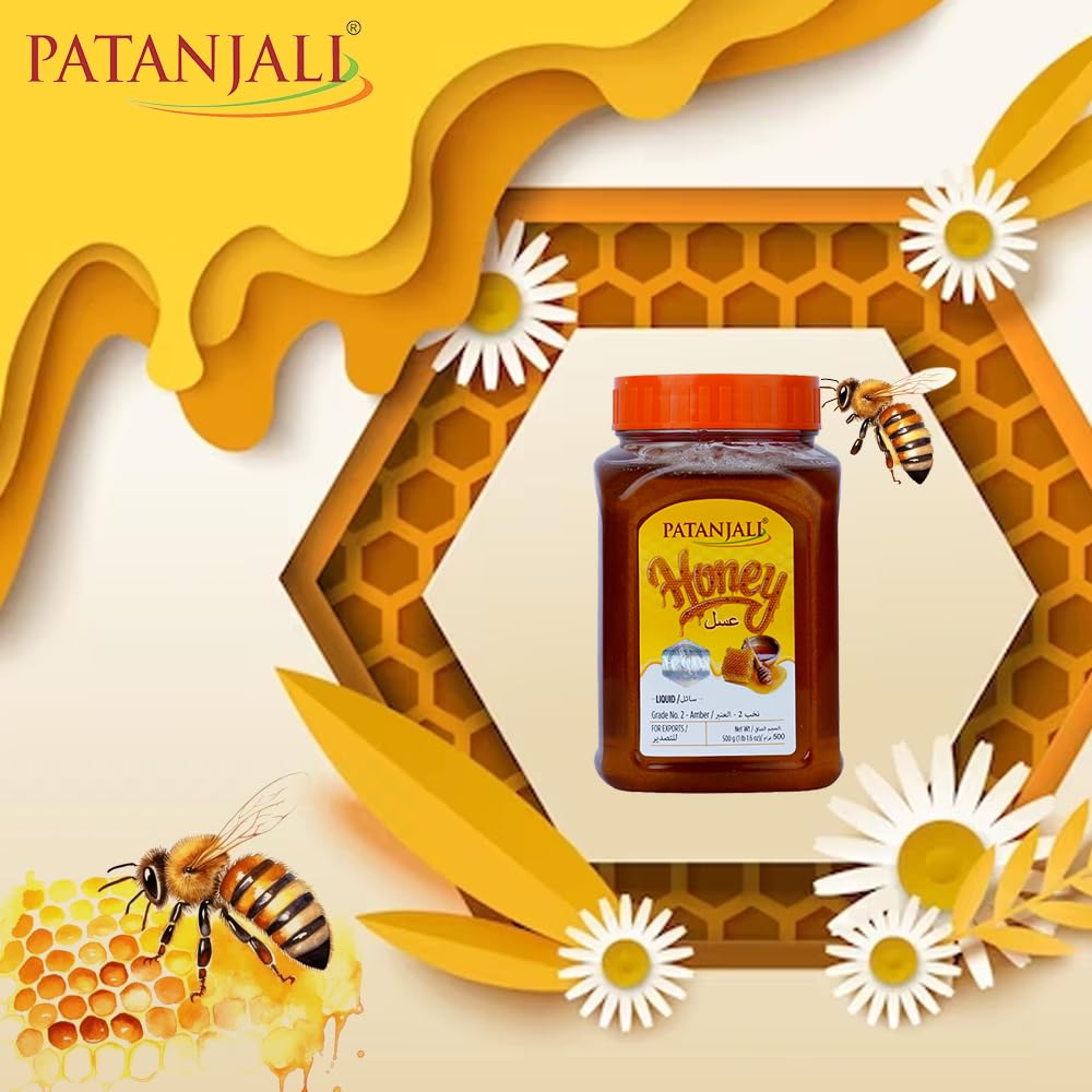 PATANJALI Honey 500G - Food / Masala / Dal