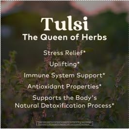 Organic India Tulsi Sleep Herbal Tea - Holy Basil, Stress Relieving & Relaxing, Immune Support, Balances Sleep Cycles, Vegan, USDA Certified Organic, Non-GMO, Caffeine-Free - 18 Infusion Bags, 6 Pack