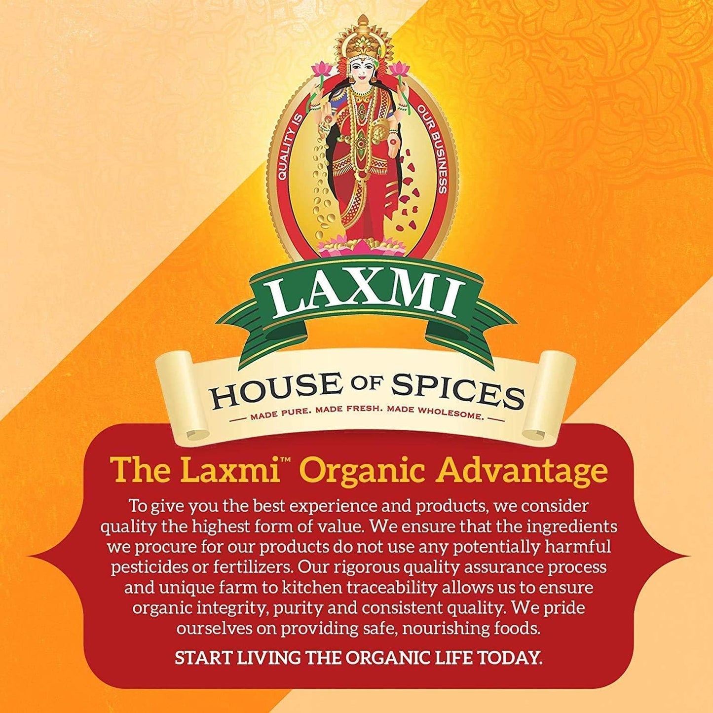 Laxmi Besan Gram Flour 2 lbs - Biscuits & Cookies