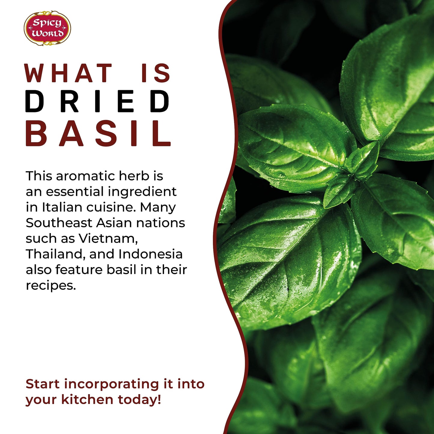 Spice World Basil Leaves 100 Gms - Ayurveda & Vitamins