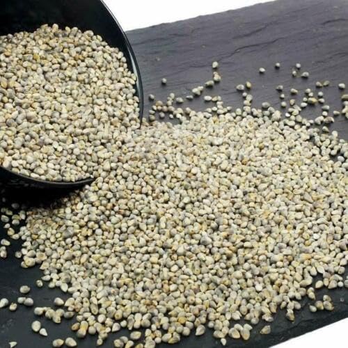 Devam Pearl Millet 11 lbs