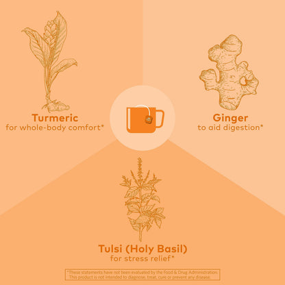 Organic India Tulsi Turmeric Ginger - 18 infusion bags - Food / Masala / Dal