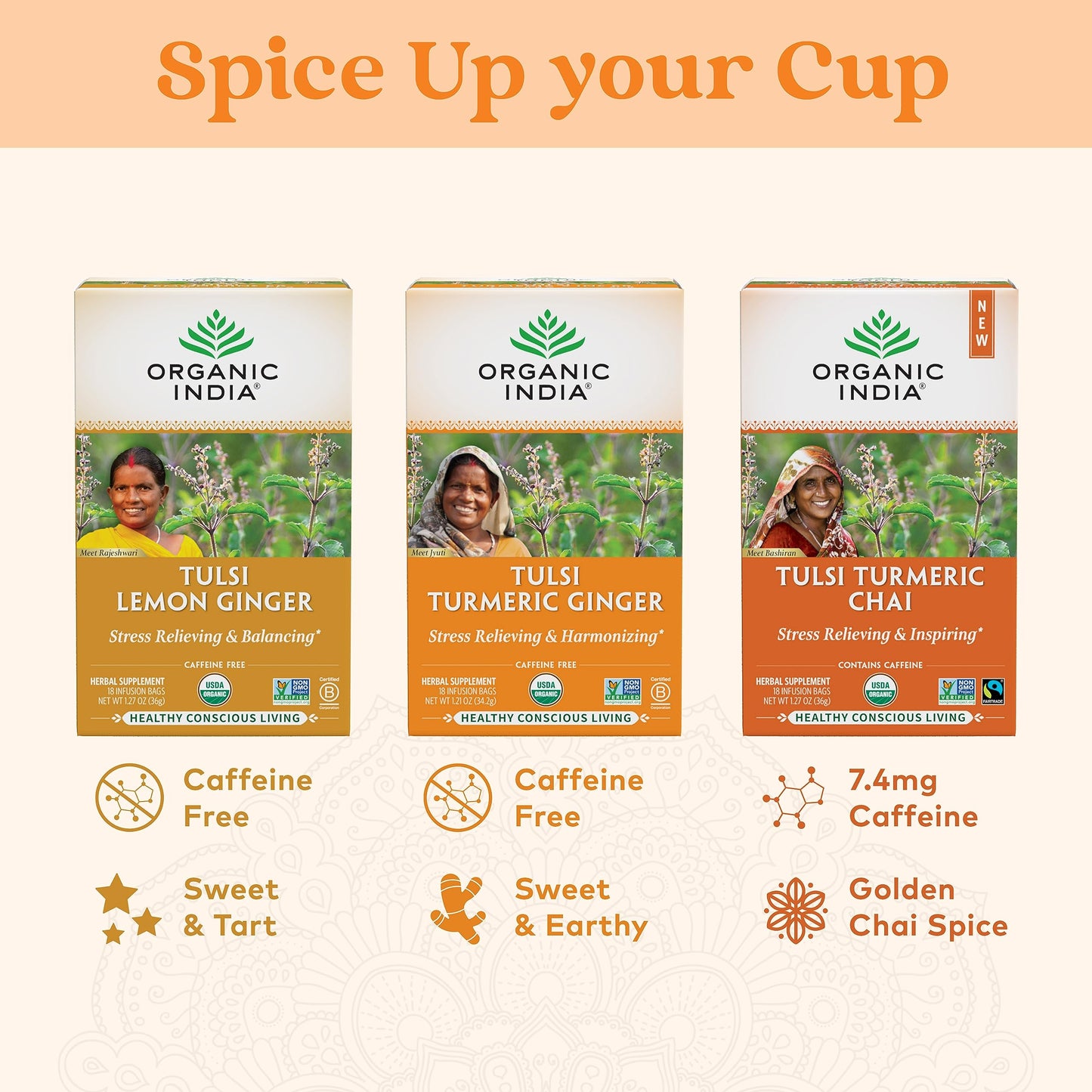 Organic India Tulsi Turmeric Ginger - 18 infusion bags - Food / Masala / Dal