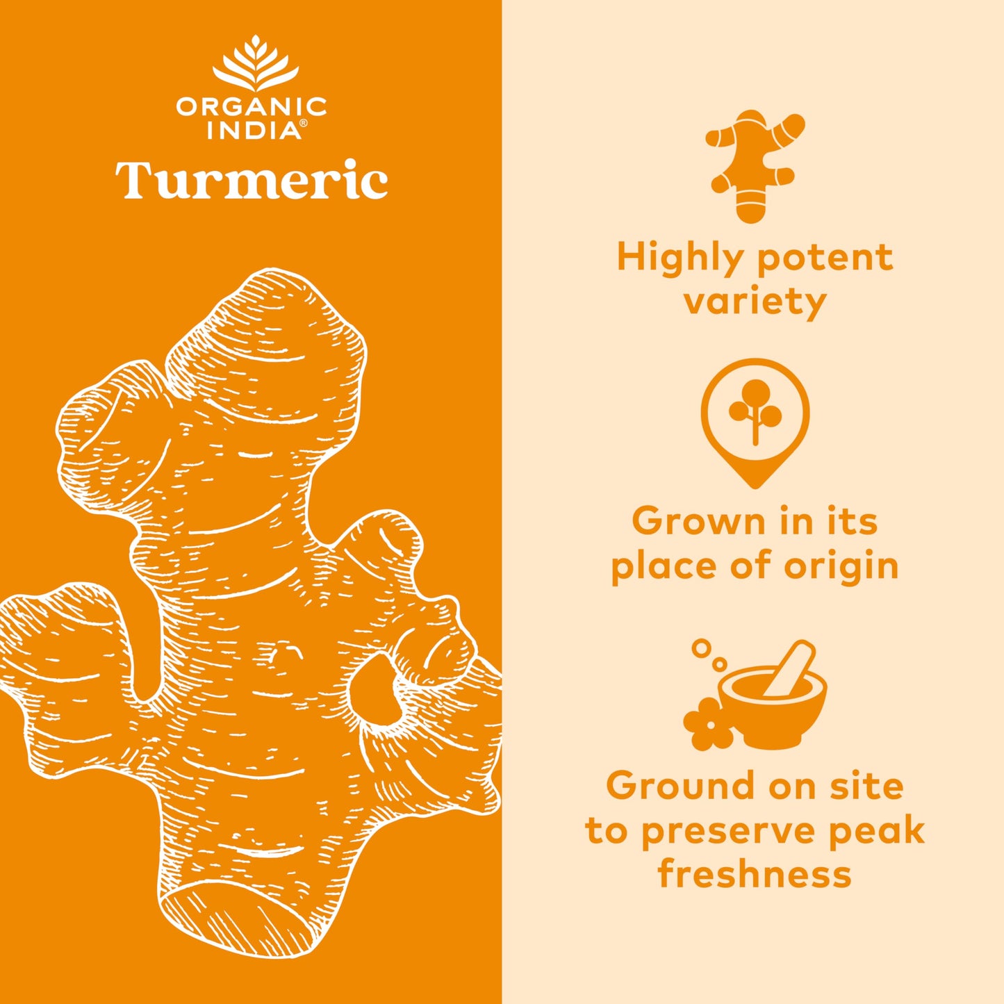 Organic India, Turmeric Formula, Joint Mobility & Support, 90 Vegetarian Caps, Pack of 2