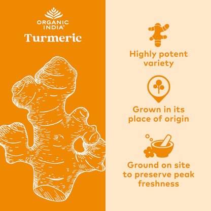Organic India, Turmeric Formula, Joint Mobility & Support, 90 Vegetarian Caps, Pack of 2