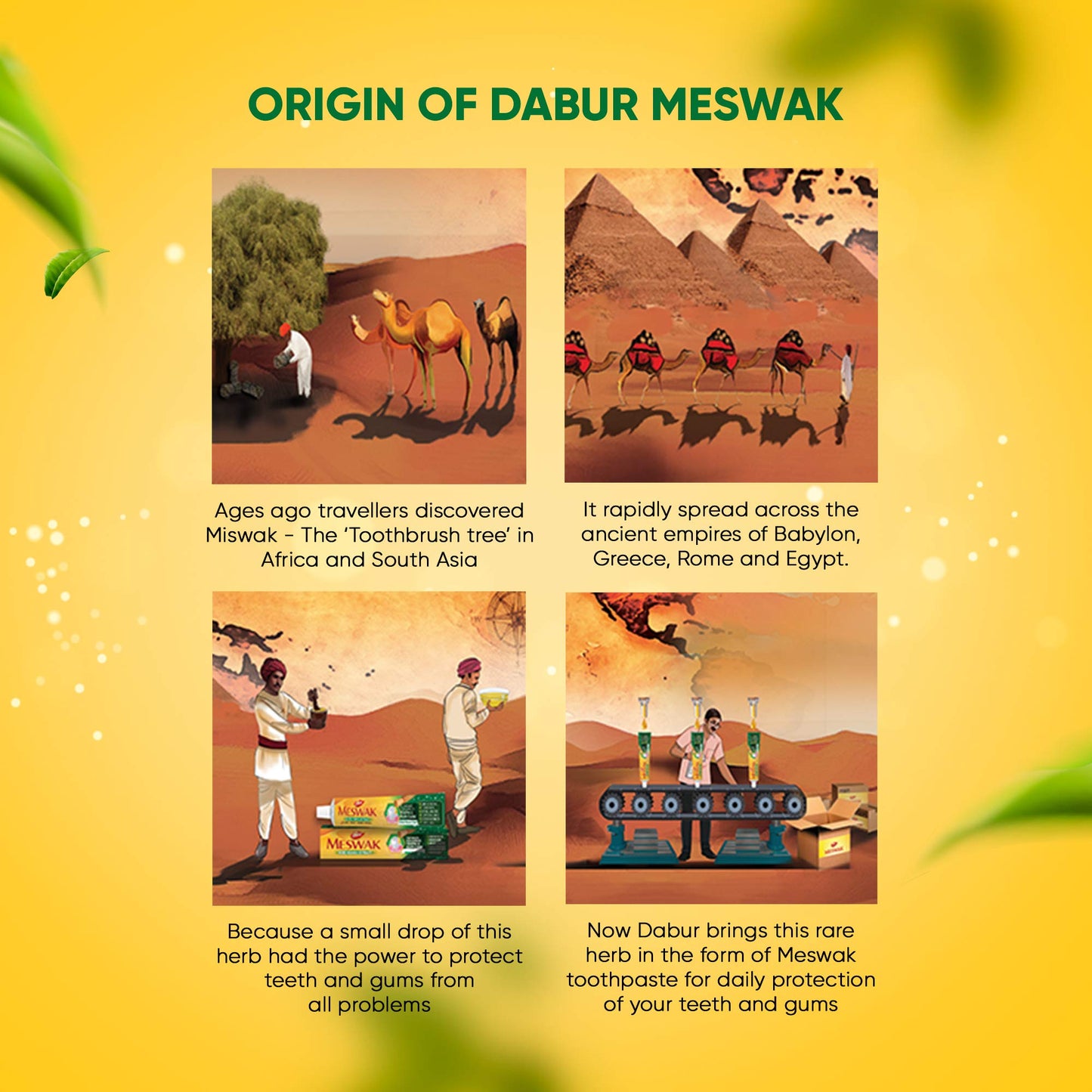 Dabur Meswak Toothpaste - 300 g (Family Pack)