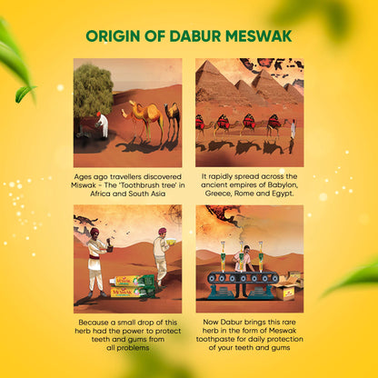 Dabur Meswak Toothpaste - 300 g (Family Pack)