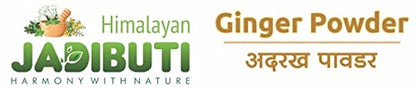 Himalayan Jadibuti Ginger Powder 100 gm