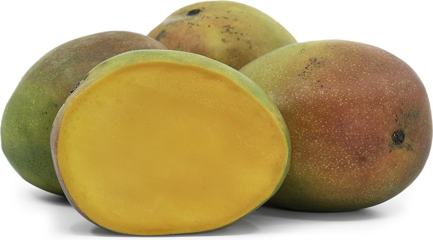 SOI Kent Mangos - 10 Count