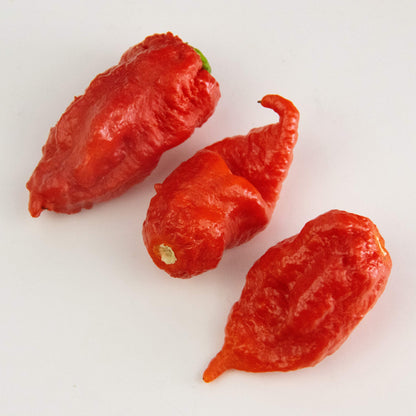 Bertie's Trinidad Scorpion Pepper Sauce (10 Oz/300ml) | Strong Flavour And Insane Heat