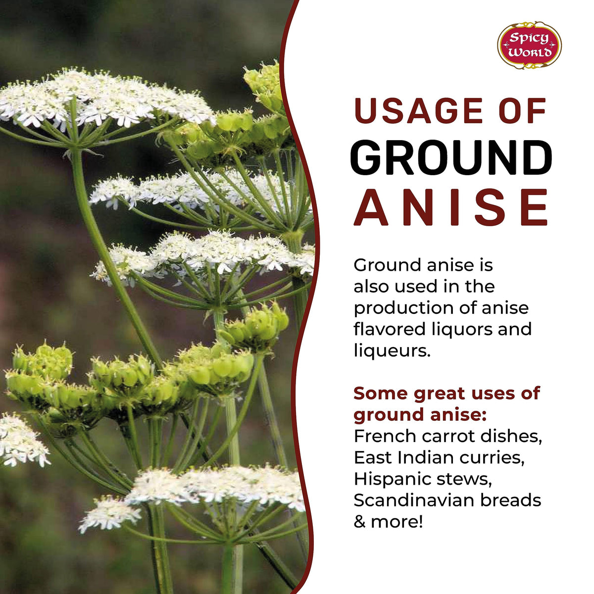 Spicy World Ground Anise Powder 7 Ounce - Anise Seeds Ground, Pure & Natural, Great for baking, cooking, and even tea