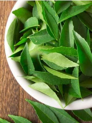 Fresh Curry Leaves 2-3oz ~ All Natural | Vegan | Gluten Friendly | NON-GMO | Product of USA