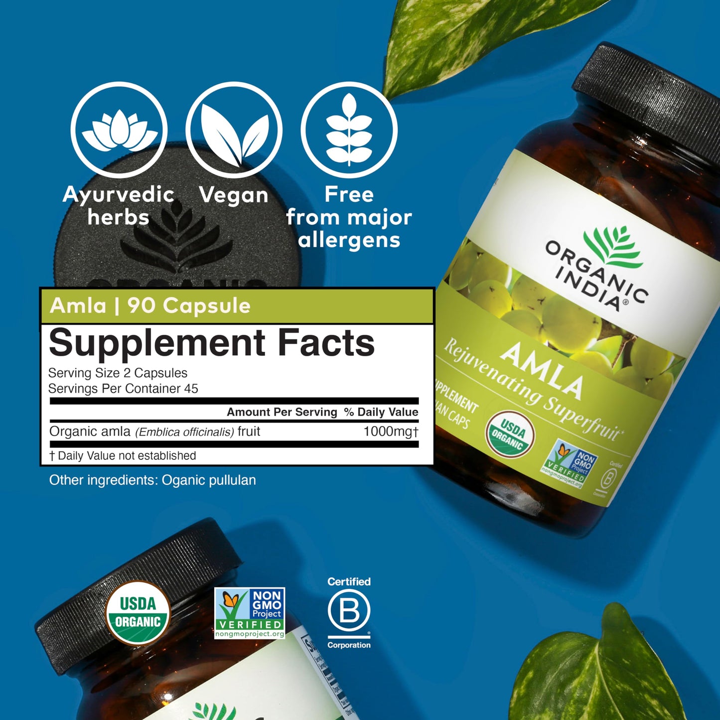 Organic India Wellness Supplements, Turmeric Formula - 1 Each - 90 VCAP