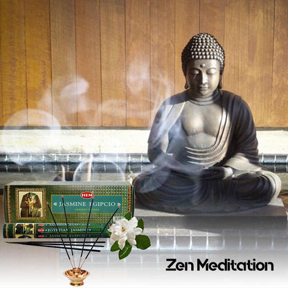120 Incense Sticks Bulk Pack, HEM, Zen Aromatherapy, 6 Boxes of 20 Sticks - Egyptian Jasmine