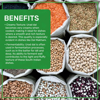 Jiva USDA Organics Urad Dal (Split Matpe Beans) 2 Pound - NEW Packaging!
