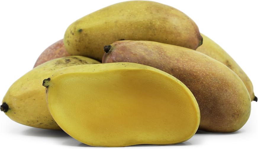 Sweet Catalina Mangoes - 10 Count